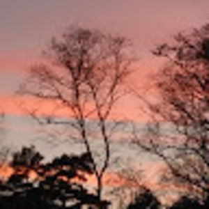 Meet your Posher, Beadie